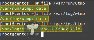 使用 utmpdump 监控 CentOS 用户登录历史