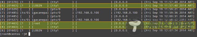 使用 utmpdump 监控 CentOS 用户登录历史