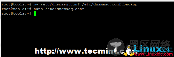 Backup Dnsmasq Configuration