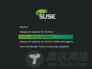 SUSE Linux Enterprise Serve 12 试用体验[多图]