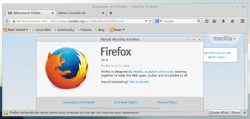 Linux系统下安装Firefox 32 正式版说明