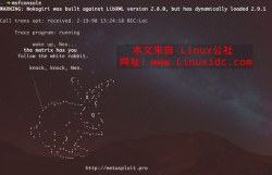 Ubuntu上安装Kali Linux的工具
