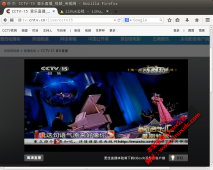 CNTV P2P for Firefox Linux 让 Linux 用户看上世界杯