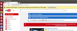 修复Ubuntu 14.04中Chromium的Adobe Flash Player的问题