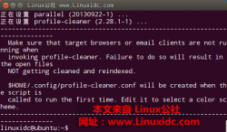 Ubuntu 下安装 Profile Cleaner 2.28.1
