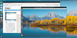 Ubuntu 14.04 下PPA安装照片编辑软件Fotoxx 14.05