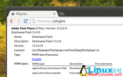 在 Ubuntu 14.04 中安装 Pepper Flash Player For Chromium