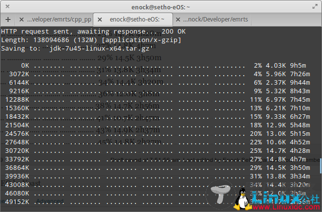 使用PPA在Elementary OS 'Luna'上安装Oracle Java 7