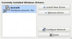访问共享的 Windows 文件系统