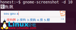 Ubuntu下安装搜狗输入法已经fcitx升级后搜狗输入法