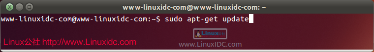 Ubuntu 13.04安装搜狗输入法