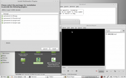 Linux Mint 11 试用报告