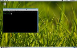 Fedora 14 下内核编译 最新内核 kernel 2.6.38