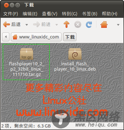 Ubuntu 10.10上安装最新版 FlashPlayer 10.2 beta