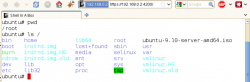 通过网页Terminal到你的Ubuntu–shellinabox