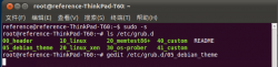 <strong>Ubuntu 10.10下Grub2设置背景图片</strong>