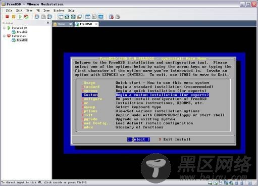 图解VMware 7 下安装FreeBSD 8.0