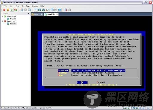 图解VMware 7 下安装FreeBSD 8.0