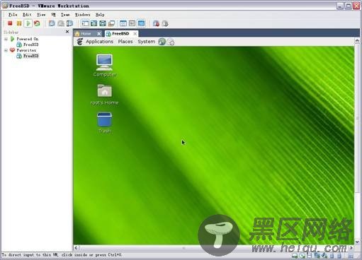 图解VMware 7 下安装FreeBSD 8.0