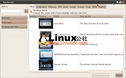 Ubuntu 10.04下的主题美化软件Epidermis