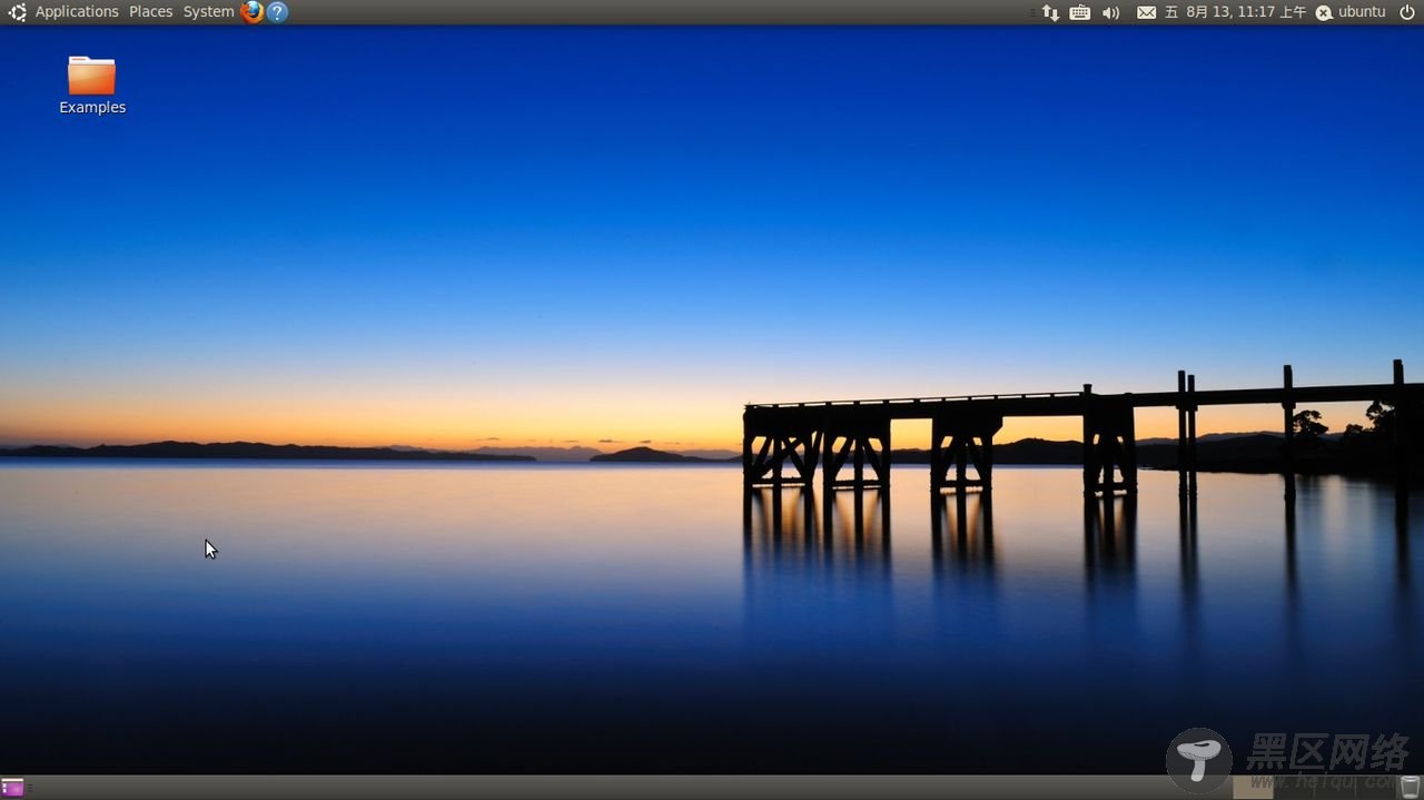 Ubuntu 10.10