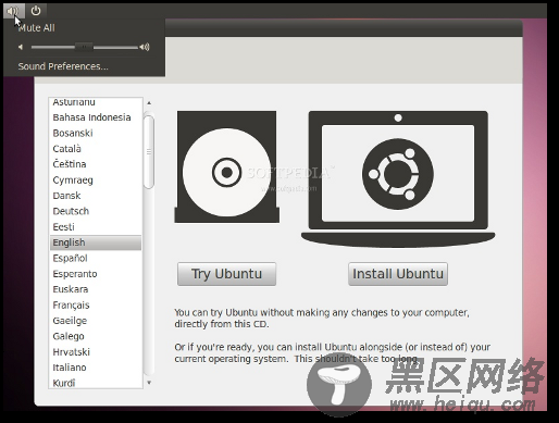 Ubuntu 10.10