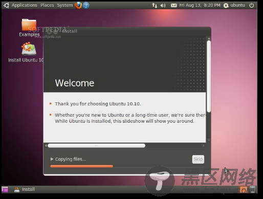 Ubuntu 10.10