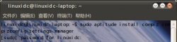 为Ubuntu 10.04安装开启3D桌面