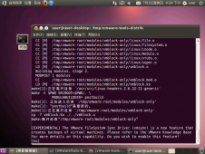 虚拟机里的Ubuntu 10.04