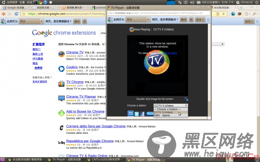 轻松在Linux中Chrome安装Chrome TV插件看直播南非世界