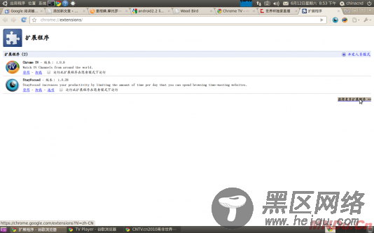 轻松在Linux中Chrome安装Chrome TV插件看直播南非世界