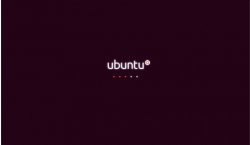 <strong>Ubuntu 10.04安装指导截图</strong>