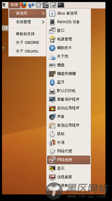 Ubuntu环境连接和使用互联网/图