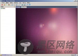 Ubuntu 10.04最新版简单体验