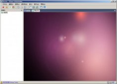 <strong>Ubuntu 10.04最新版简单体验</strong>