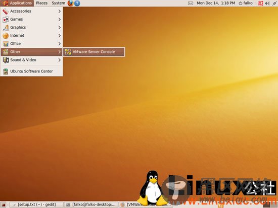 Ubuntu 9.10中安装VMware Server 1.0.x图解