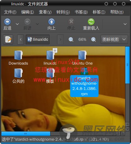 Ubuntu 9.04安装RPM包的金山词霸StarDict[图文]