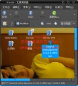 Ubuntu 9.10安装RPM包的金山词霸StarDict[图文]