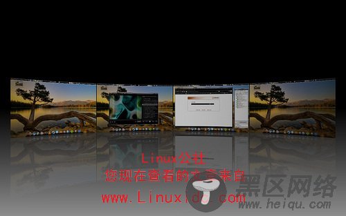 Ubuntu 9.04华丽的3D桌面