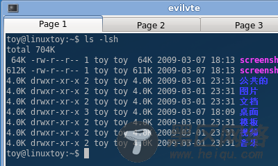 EVILVTE：超轻量级的LINUX终端模拟器