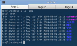 Evilvte：超轻量级的Linux终端模拟器