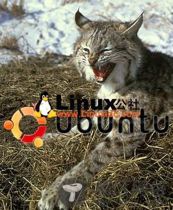 图解Ubuntu版本有趣代号！乌班图的动物园Lucid Lynx 清醒的猞猁 Ubuntu 10.04