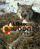 图解Ubuntu版本有趣代号！乌班图的动物园