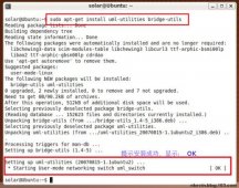 Ubuntu 9.04下用Virtualbox OSE桥接虚拟的CentOS系统