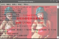 Ubuntu 9.04添加监控CPU与硬盘温度软件[多图]