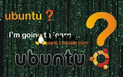 Windows 与 Ubuntu 或者说 Linux？