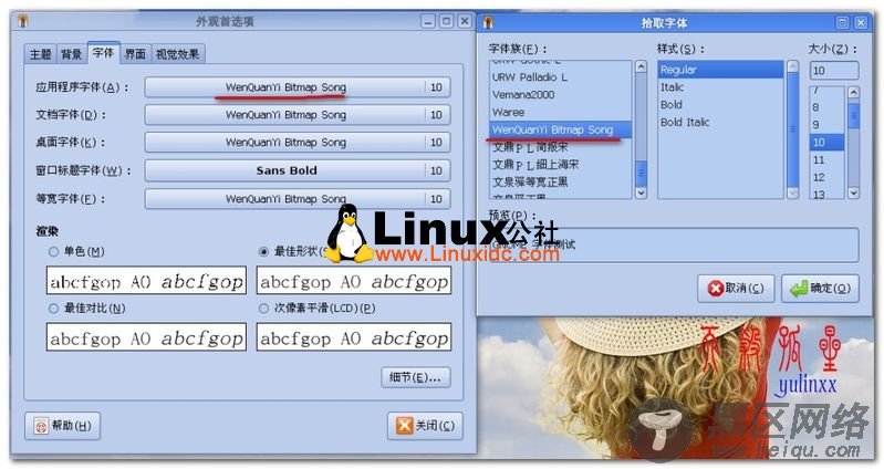 Ubuntu 9.04 字体不清晰之解决[图文]