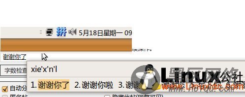 Ubuntu 9.04下安装ibus中文输入法