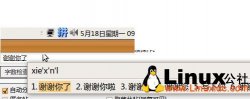 Ubuntu 9.04下安装ibus中文输入法