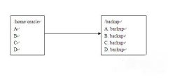 Unix系统下Find命令的三个高级应用